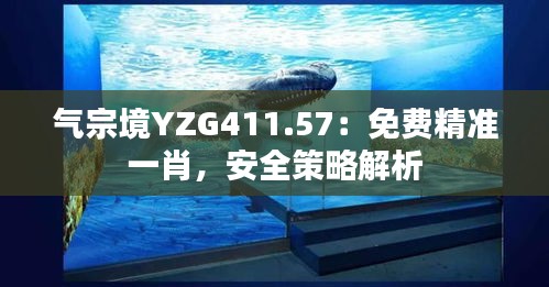 氣宗境YZG411.57：免費(fèi)精準(zhǔn)一肖，安全策略解析