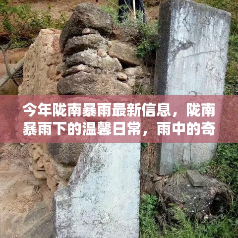 隴南暴雨下的溫馨日常，雨中奇遇與家的溫暖最新報(bào)道