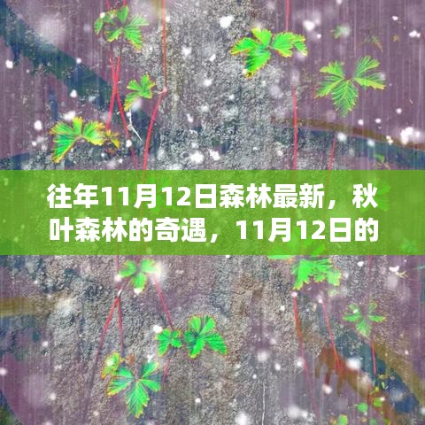 秋日森林奇遇，溫馨記憶中的最新秋葉森林