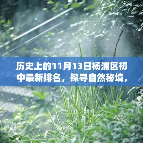 探尋自然秘境與心靈之旅，楊浦區(qū)初中排名背后的故事及最新排名（11月13日）