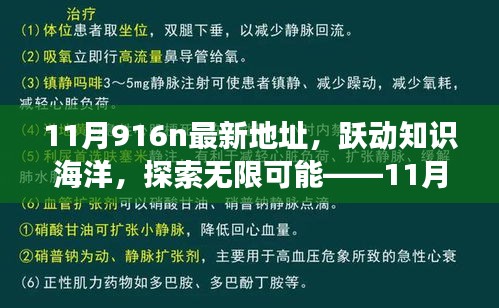 躍動(dòng)知識(shí)海洋，探索無(wú)限可能，揭秘11月916n新地址魔法之旅，學(xué)習(xí)成就自信與成長(zhǎng)