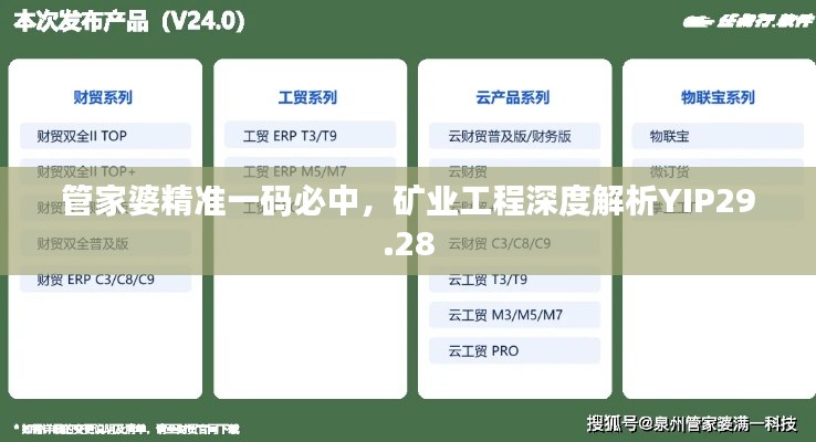 管家婆精準(zhǔn)一碼必中，礦業(yè)工程深度解析YIP29.28
