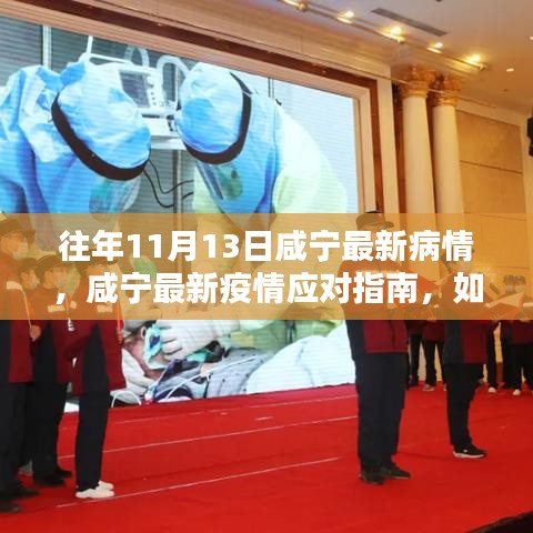 咸寧最新疫情動(dòng)態(tài)及應(yīng)對(duì)指南，安全度過特殊時(shí)期的初學(xué)者與進(jìn)階用戶指南（11月13日更新）