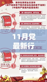 11月黨最新行動指南，引領新時代，奮進新征程的綱領性文件