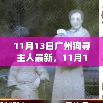 廣州狗狗尋找主人最新進(jìn)展，溫暖重逢與尋寵路上的希望（11月13日更新）