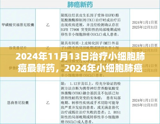 2024年小細胞肺癌治療新藥全面解析與用戶體驗，最新藥物評測及療效展望