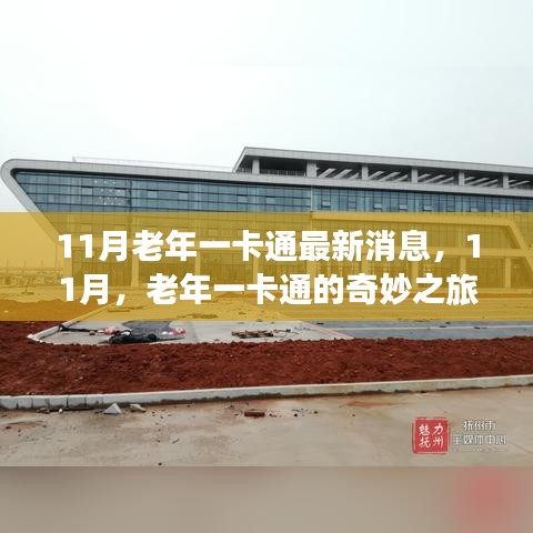 11月老年一卡通最新動(dòng)態(tài)，奇妙之旅開啟