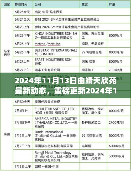 揭秘，2024年11月13日曲靖天欣苑最新動(dòng)態(tài)重磅更新