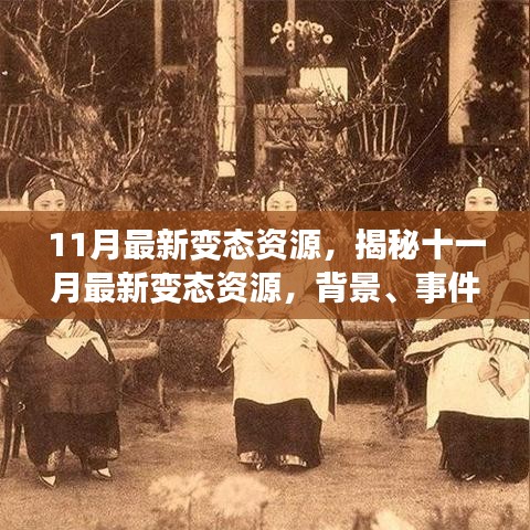 揭秘十一月最新變態(tài)資源，背景、事件、影響與時(shí)代地位全面解析
