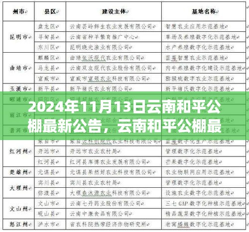 云南和平公棚最新公告發(fā)布，多元觀點(diǎn)探析與解讀