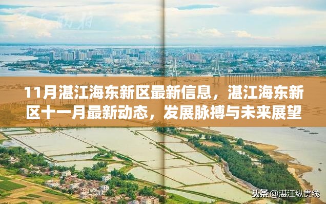 湛江海東新區(qū)十一月最新動態(tài)，發(fā)展脈搏、未來展望與最新信息速遞