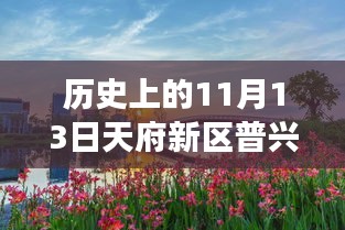 天府新區(qū)普興規(guī)劃嶄新篇章，歷史上的11月13日見證自信與成就變遷之路