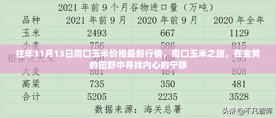 往年11月13日周口玉米價格更新，田野探索與內(nèi)心寧靜之旅
