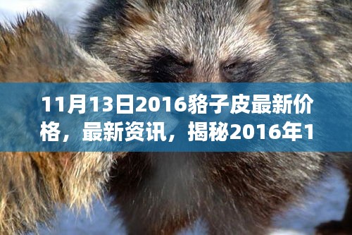 揭秘，2016年11月13日貉子皮市場最新行情及價(jià)格走勢(shì)分析