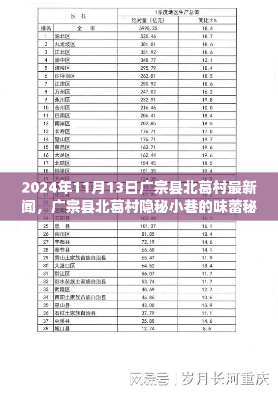 廣宗縣北葛村隱秘小巷的美食秘境，最新探秘之旅（2024年11月13日）