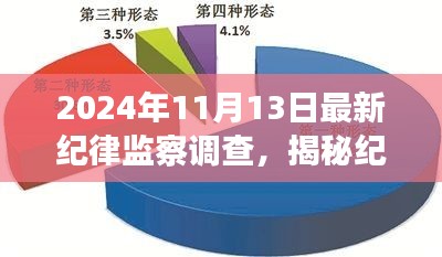 揭秘紀(jì)律監(jiān)察調(diào)查，最新動(dòng)態(tài)與深度解讀（以紀(jì)念日期為例）