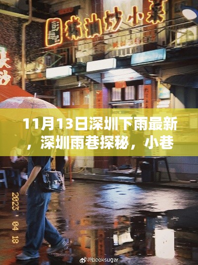 深圳雨巷探秘，美味驚喜與雨中的小巷風(fēng)情