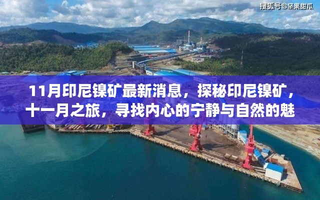 探秘印尼鎳礦，十一月之旅，與自然共舞，追尋內(nèi)心寧靜的魅力