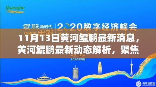 黃河鯤鵬最新動(dòng)態(tài)解析，聚焦觀點(diǎn)與理由