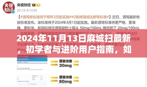 麻城掃最新技能指南，初學(xué)者與進(jìn)階用戶如何掌握