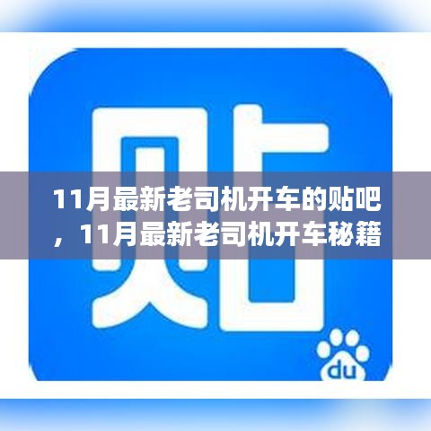 揭秘！11月最新老司機(jī)開(kāi)車(chē)秘籍，貼吧駕駛技巧大解密！