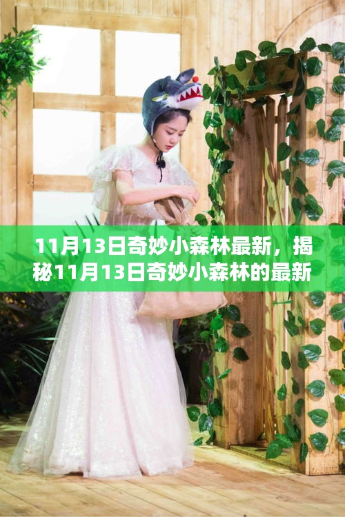揭秘，最新動態(tài)，探索奇妙小森林的未知領域（日期，11月13日）