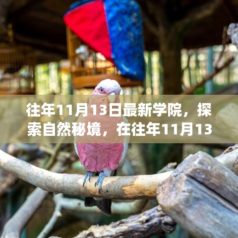 往年11月13日學(xué)院探索自然秘境之旅，追尋內(nèi)心的寧?kù)o與笑聲
