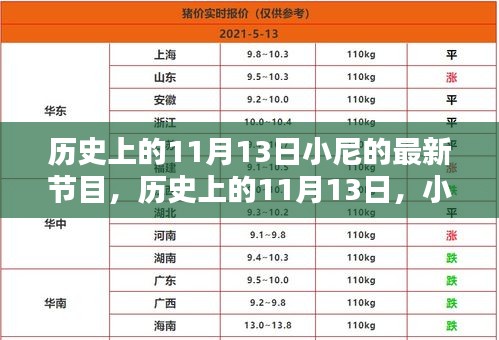 小尼最新節(jié)目深度解析，歷史上的十一月十三日