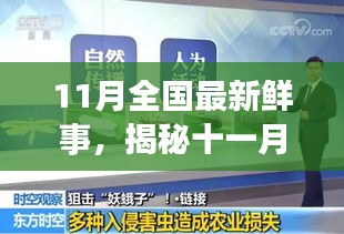 揭秘十一月全國(guó)新鮮事，熱點(diǎn)聚焦與科普解讀