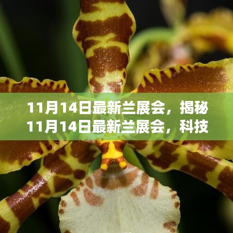 揭秘最新蘭展會(huì)，科技革新引領(lǐng)未來(lái)生活風(fēng)采展盛大開(kāi)幕