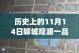聊城觀瀾一品揭秘之旅，11月14日最新動(dòng)態(tài)探秘隱藏小巷
