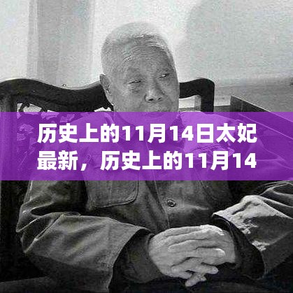 歷史上的11月14日太妃傳奇，最新解讀與影響全解析
