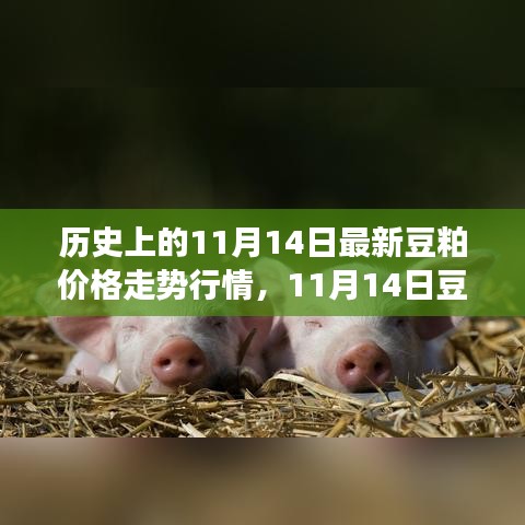 歷史上的豆粕價格走勢分析，回顧與預測