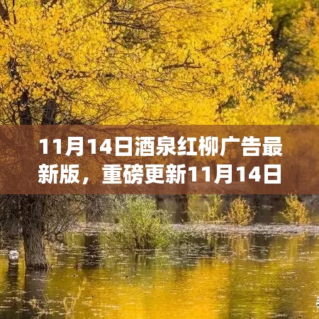 11月14日酒泉紅柳廣告最新版，重磅更新，精彩紛呈