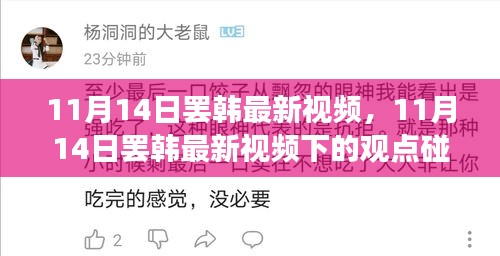 11月14日罷韓最新視頻，觀點碰撞與個人立場探討