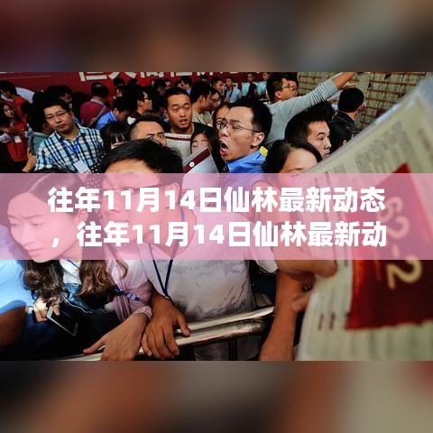 往年11月14日仙林動(dòng)態(tài)深度解析，特性體驗(yàn)、競(jìng)品對(duì)比與用戶群體分析報(bào)告