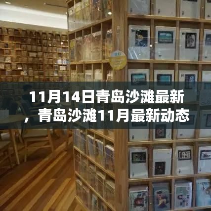 探尋秋日青島沙灘別樣風(fēng)情，最新動態(tài)與沙灘風(fēng)情體驗(yàn)（11月篇）