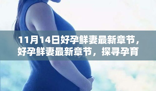 探尋孕育新生命的喜悅與挑戰(zhàn)，好孕鮮妻最新章節(jié)于11月14日更新