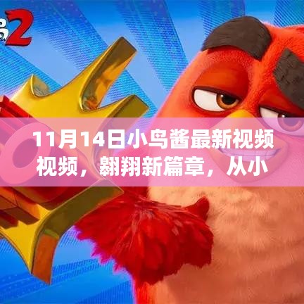 小鳥醬翱翔新篇章，學(xué)習(xí)變化的力量揭秘視頻首曝