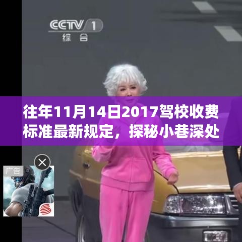 探秘駕校新規(guī)定下的駕駛夢(mèng)想港灣，獨(dú)特學(xué)車體驗(yàn)與最新收費(fèi)標(biāo)準(zhǔn)揭秘