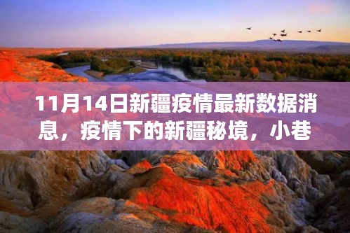 新疆疫情最新動(dòng)態(tài)，秘境小巷的特色小店與疫情數(shù)據(jù)交織的故事