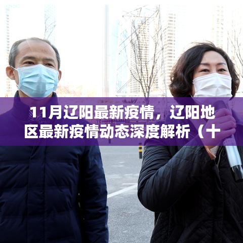 遼陽地區(qū)最新疫情動態(tài)深度解析，十一月疫情報告