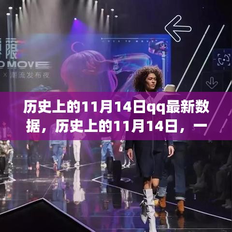 歷史上的11月14日，QQ數據揭秘與自然的共舞之旅