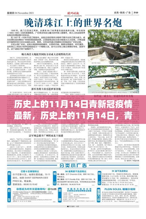 歷史上的11月14日，青新冠疫情最新進展及其社會反響與觀點碰撞