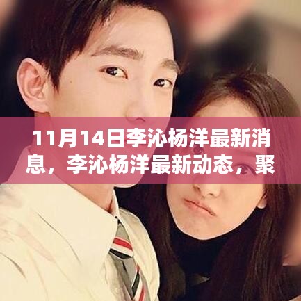 李沁楊洋最新動態(tài)深度解析，聚焦要點揭秘最新消息