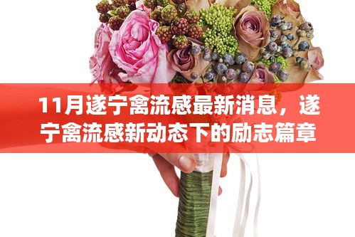 遂寧禽流感最新動態(tài)下的勵志篇章，變化中的學(xué)習(xí)成就自信之源