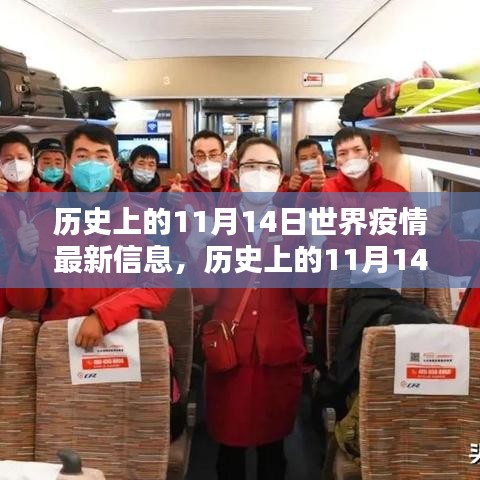 歷史上的11月14日全球疫情深度解析，最新動態(tài)與全球信息同步