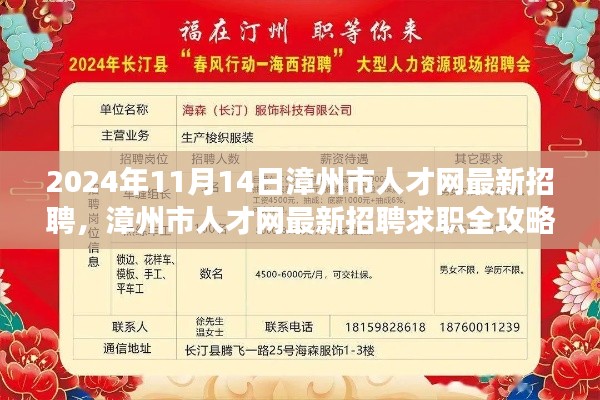 漳州市人才網(wǎng)最新招聘求職攻略，成功應聘心儀職位全解析（2024年11月）