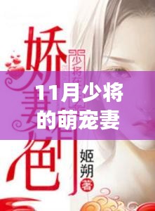萌寵少將的甜蜜時光，溫馨日常的最新章節(jié)探索