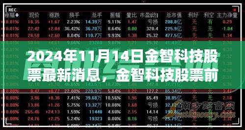 金智科技最新動態(tài)及前景展望，深度解讀2024年11月14日股市消息